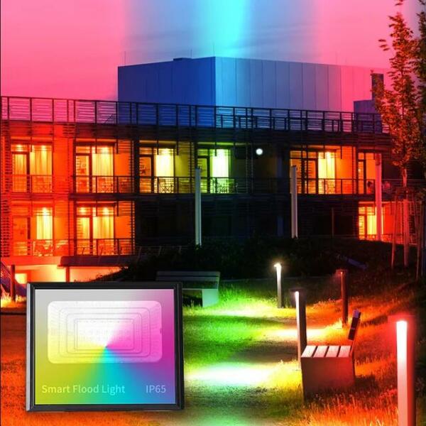 Projecteur LED RGB Multi couleurs 50W avec commande