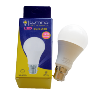 Lampe standard LED A60 base B22 12W Lumière blanche (6500k)