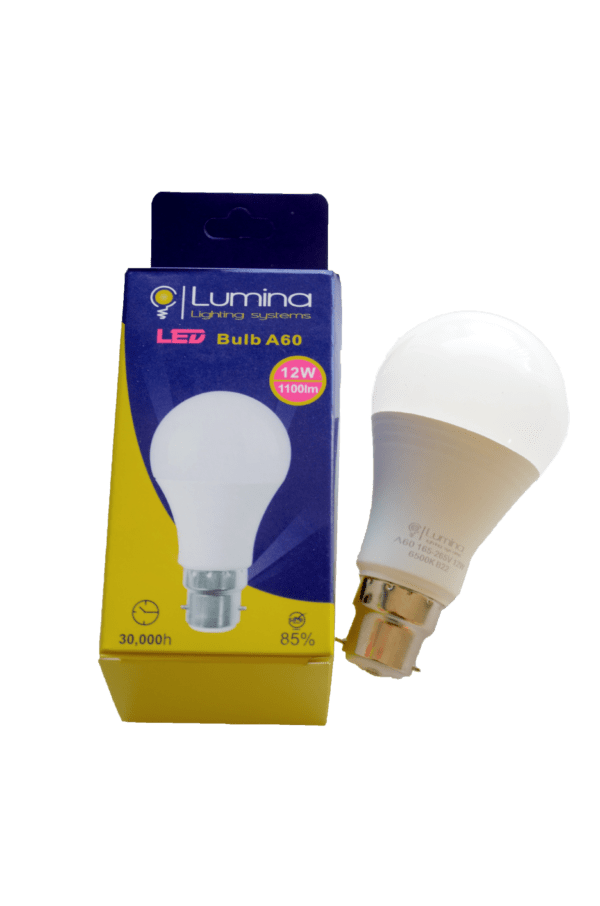 Lampe standard LED A60 base B22 12W Lumière blanche (6500k)