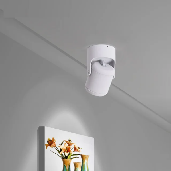 Spot Apparent LED10W BLANC Murale ou Plafonnier 4000K ZX-K067