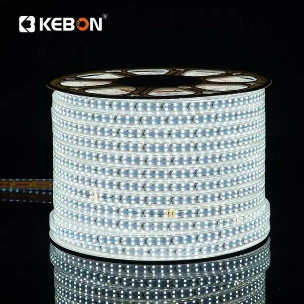 Rouleau tube light guirlande 8mm 2835 2 Lignes 100 mètre couleur Blanc