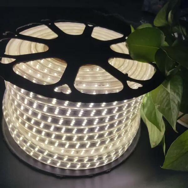 Rouleau tube light guirlande NEON Lumière Naturelle COB 8mm 50m