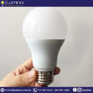 Lampe LED E27 12W 6500K lumière blanche - 1