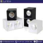 Spot carré apparent blanc en polycarbonate AB2-30 - 1