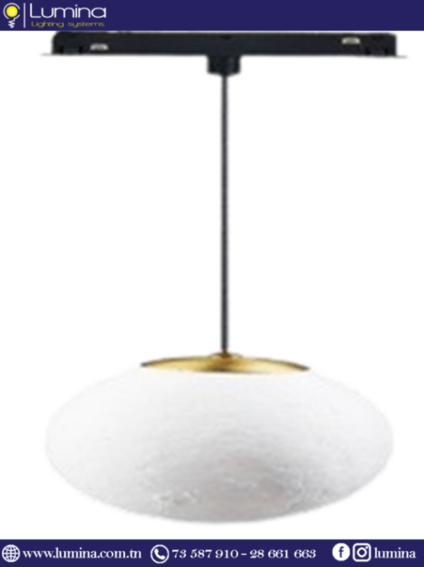 Suspension boule magnétique 150mm design moderne pour salon