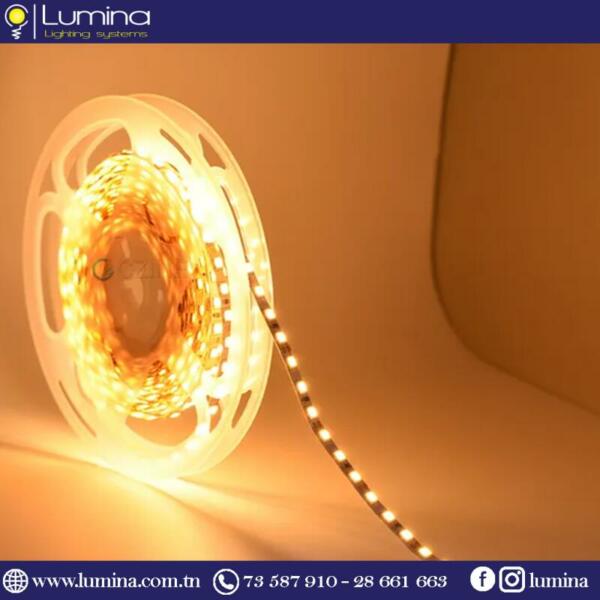 Guirlande tube light 12v lumière naturelle 4000K 5 mètres - 1