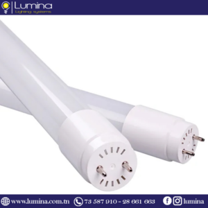 Tube led t8 verre 60cm